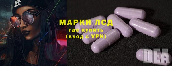 хмурый Абаза