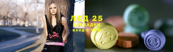 хмурый Абаза