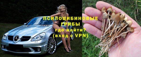 ешки Абинск