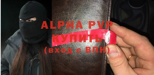 хмурый Абаза