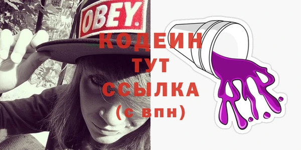 хмурый Абаза