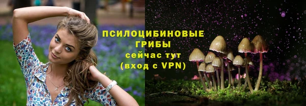 ешки Абинск
