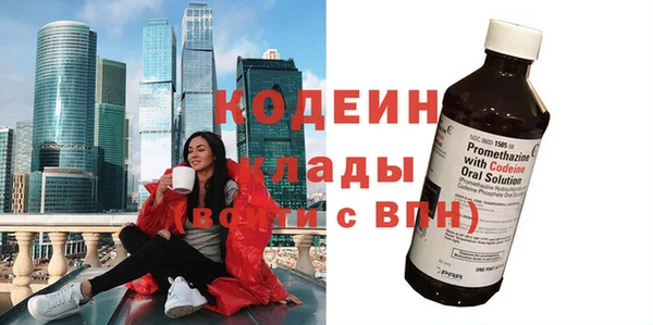 хмурый Абаза