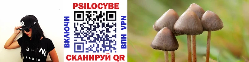 Галлюциногенные грибы мухоморы  купить наркотик  Саянск 